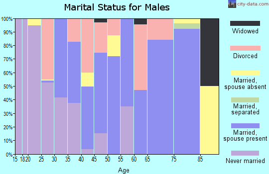 Zip code 99574 marital status for males