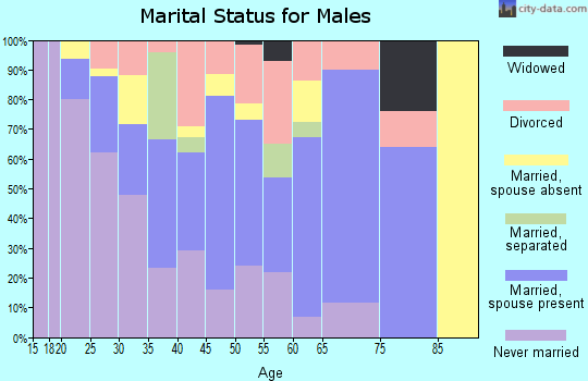 Zip code 99576 marital status for males