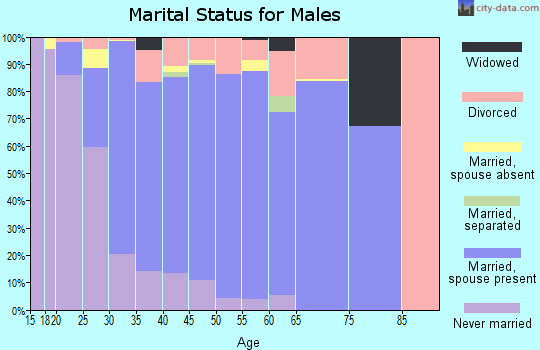 Zip code 99577 marital status for males