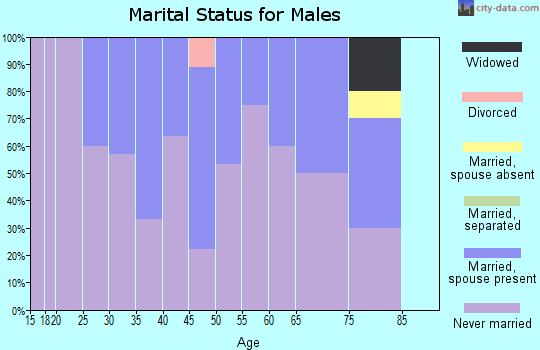 Zip code 99578 marital status for males