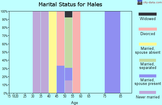 Zip code 99579 marital status for males