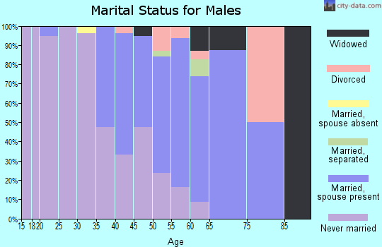 Zip code 99581 marital status for males