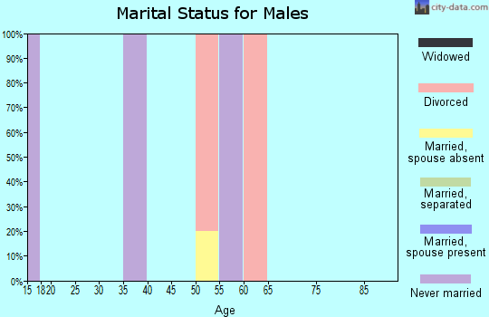 Zip code 99583 marital status for males