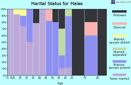 Zip code 99585 marital status for males