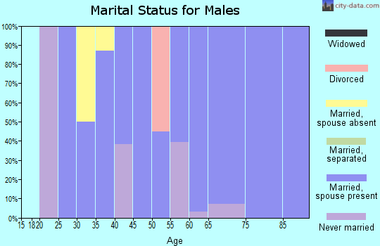 Zip code 99586 marital status for males