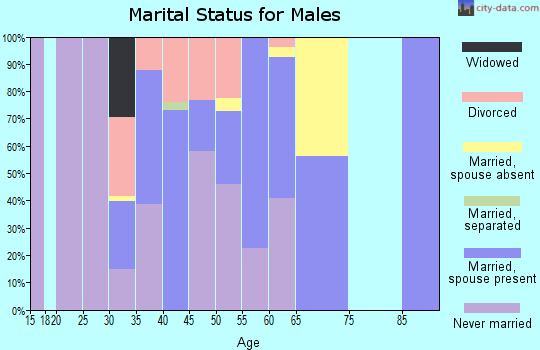Zip code 99587 marital status for males