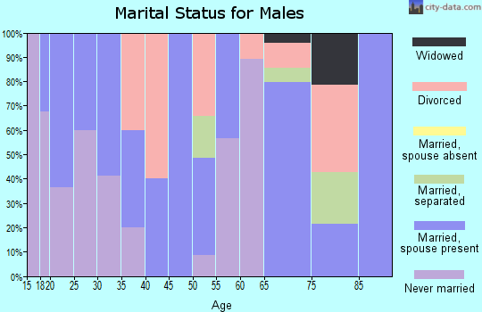 Zip code 99588 marital status for males