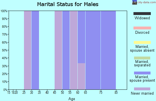 Zip code 99591 marital status for males