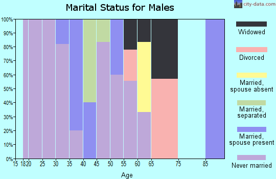 Zip code 99602 marital status for males