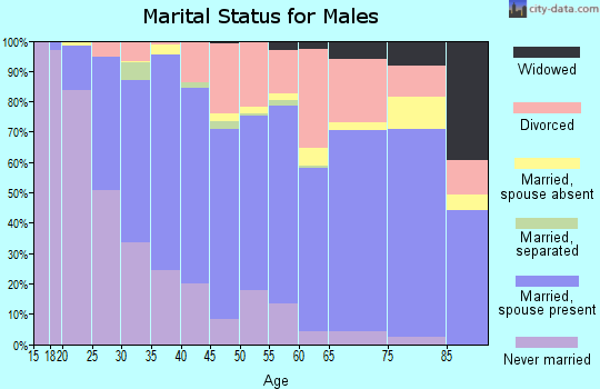 Zip code 99603 marital status for males