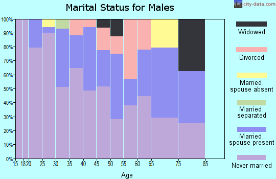 Zip code 99604 marital status for males