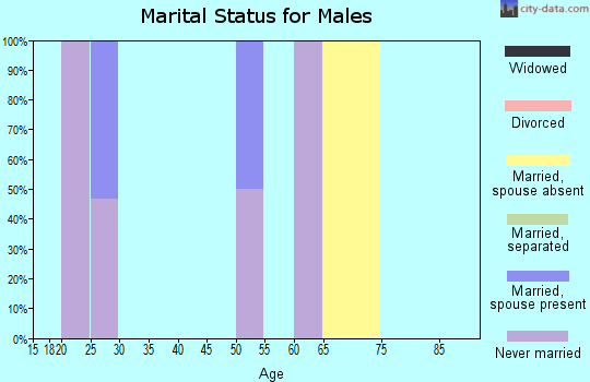 Zip code 99605 marital status for males