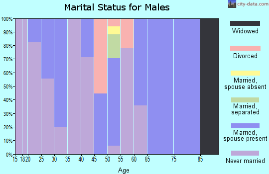 Zip code 99606 marital status for males