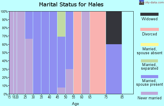 Zip code 99607 marital status for males