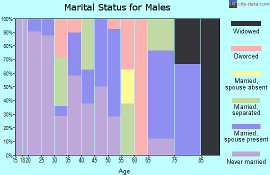 Zip code 99609 marital status for males