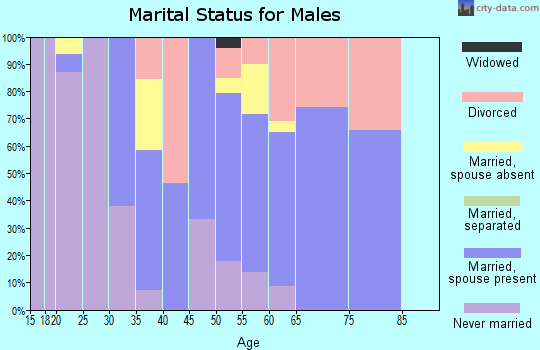 Zip code 99610 marital status for males