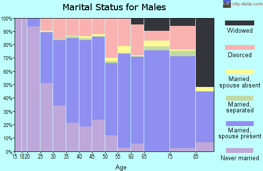 Zip code 99611 marital status for males