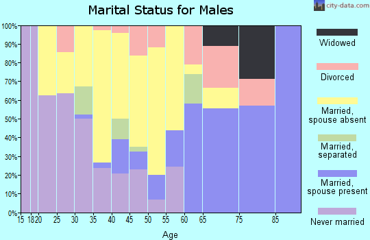 Zip code 99612 marital status for males