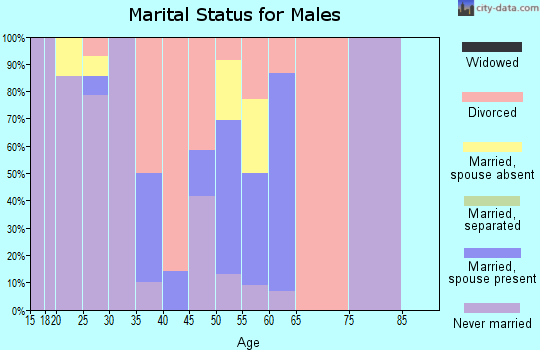 Zip code 99613 marital status for males