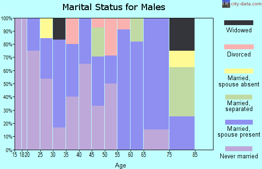 Zip code 99614 marital status for males