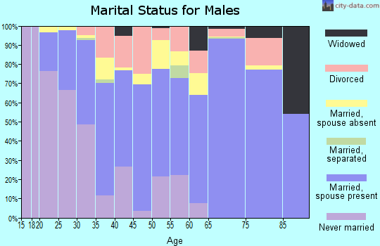 Zip code 99615 marital status for males