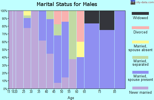 Zip code 99620 marital status for males