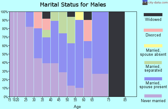 Zip code 99621 marital status for males