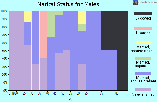 Zip code 99622 marital status for males