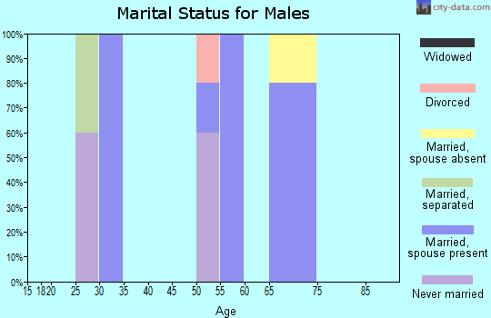 Zip code 99624 marital status for males