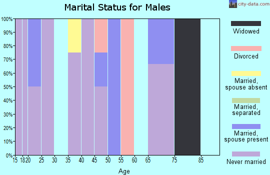 Zip code 99625 marital status for males