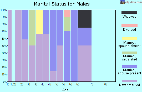 Zip code 99626 marital status for males