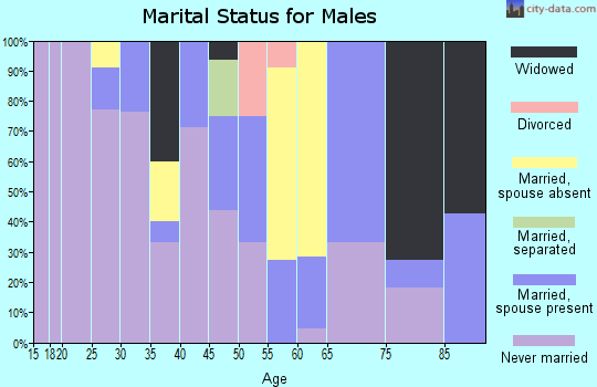Zip code 99628 marital status for males