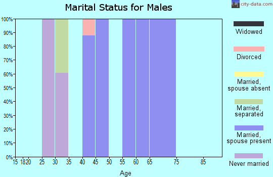 Zip code 99631 marital status for males