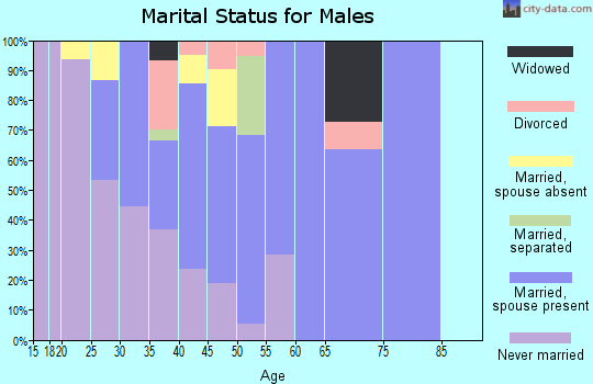Zip code 99632 marital status for males