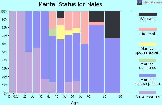 Zip code 99633 marital status for males