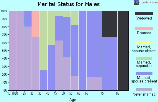 Zip code 99634 marital status for males