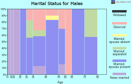 Zip code 99635 marital status for males