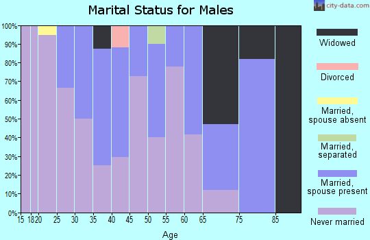 Zip code 99636 marital status for males