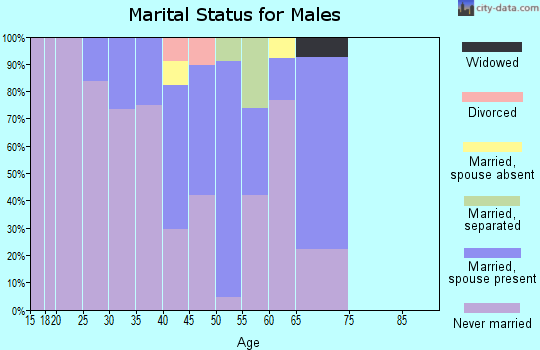 Zip code 99637 marital status for males