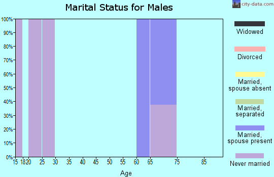 Zip code 99638 marital status for males