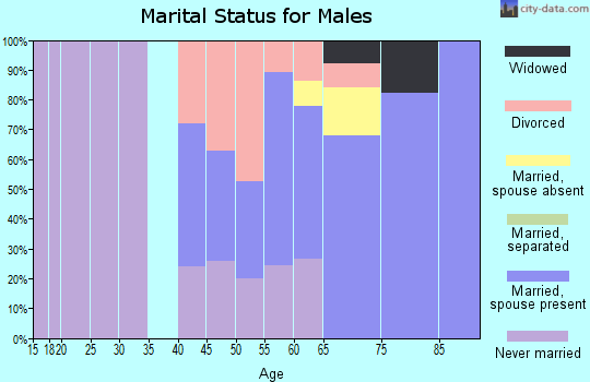 Zip code 99639 marital status for males