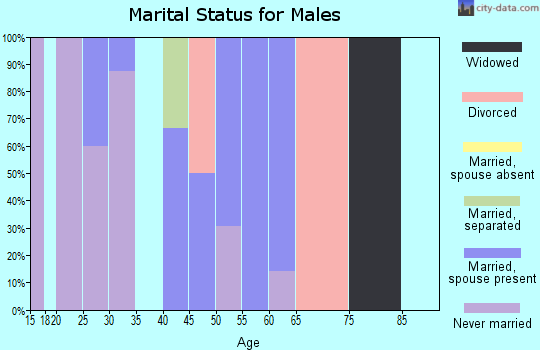 Zip code 99640 marital status for males