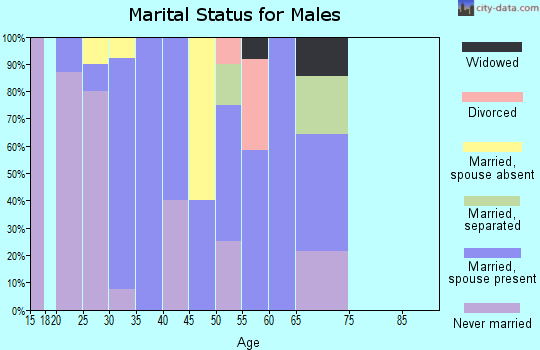 Zip code 99641 marital status for males