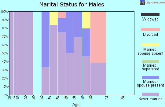 Zip code 99643 marital status for males