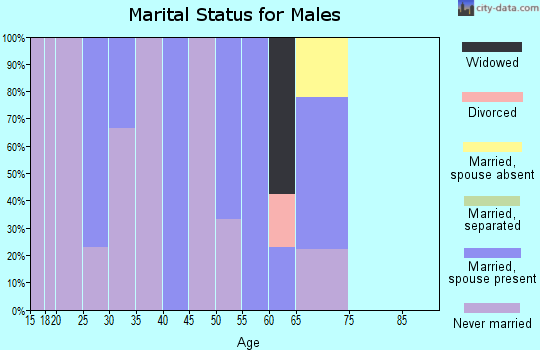 Zip code 99644 marital status for males