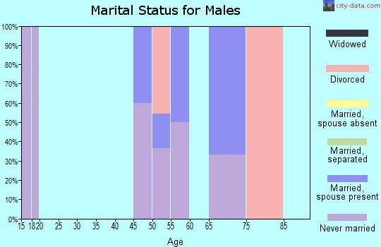 Zip code 99649 marital status for males