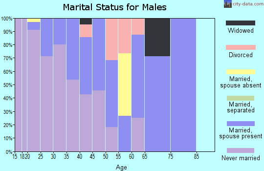 Zip code 99650 marital status for males