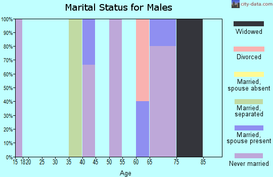Zip code 99651 marital status for males