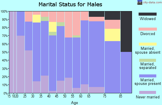 Zip code 99652 marital status for males