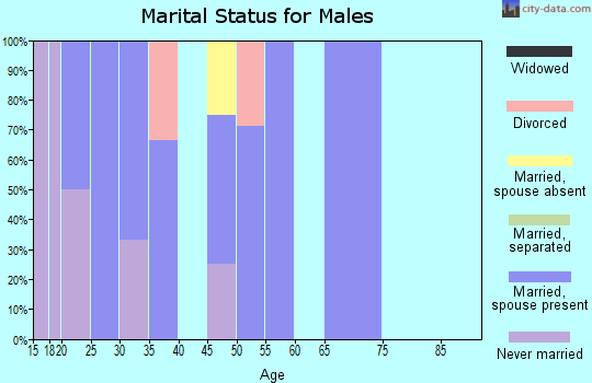 Zip code 99653 marital status for males